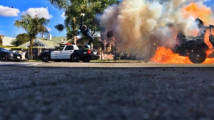 COLBY LEMMO: From Vegas Spotlight to Cinematic Impact Stuntwomen's Association of Motion Pictures